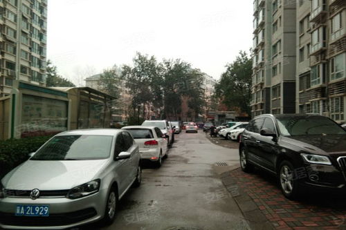 麗都花園優點 不足,麗都花園怎么樣,麗都花園周邊房產中介經紀人評價